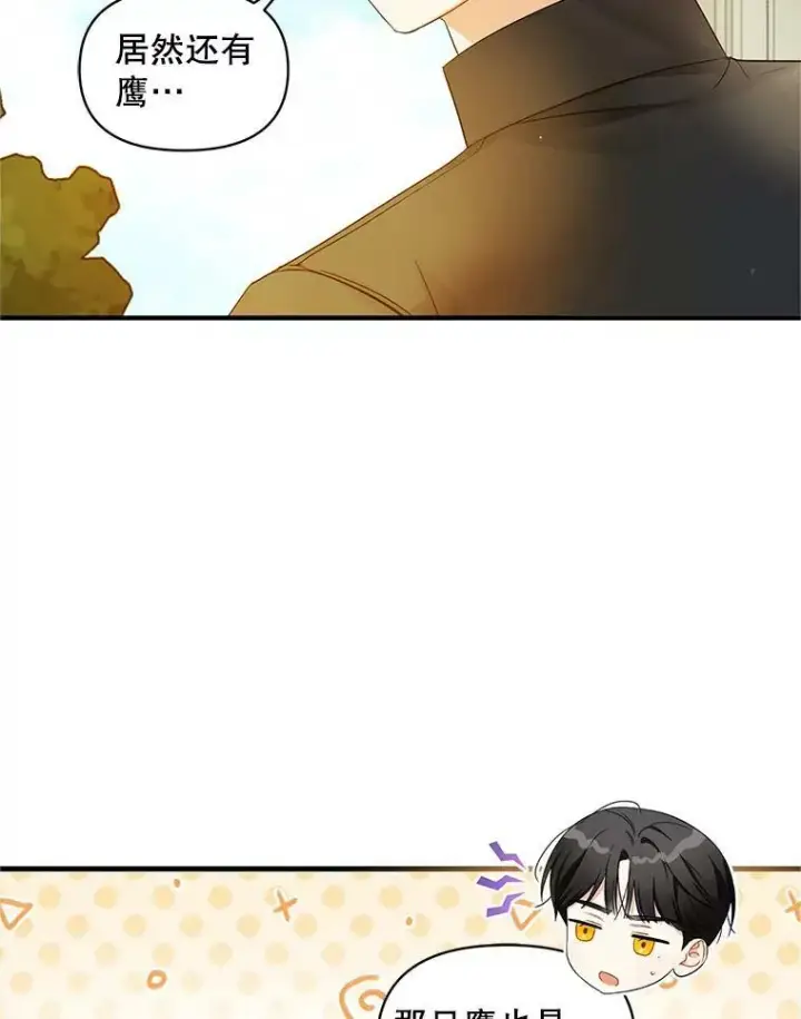 漫画《穿成后悔偏执狂的妹妹》12.攻击第46张图