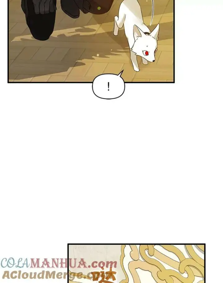 漫画《穿成后悔偏执狂的妹妹》12.攻击第49张图