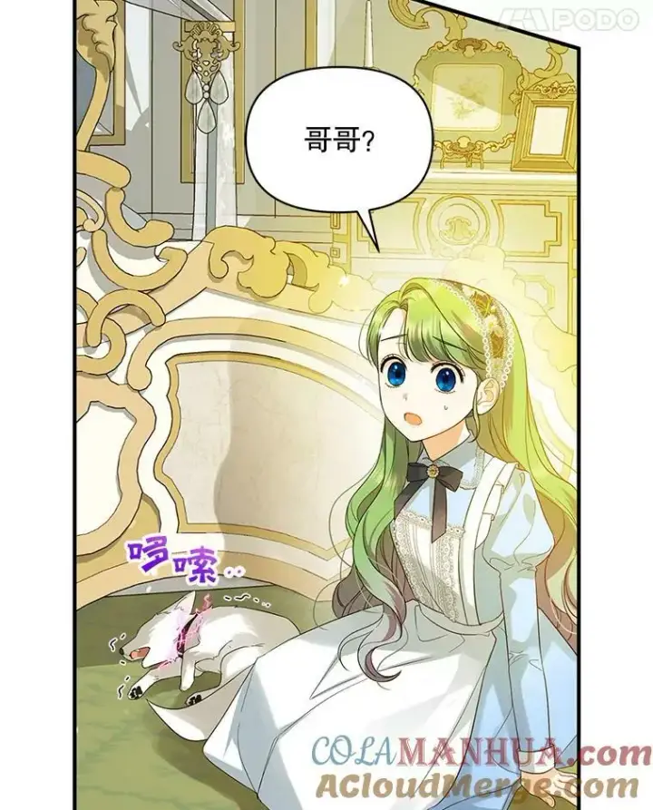 漫画《穿成后悔偏执狂的妹妹》12.攻击第9张图