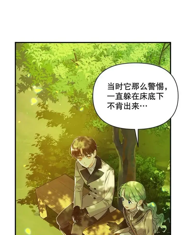 漫画《穿成后悔偏执狂的妹妹》13.属于“我”的爱第63张图
