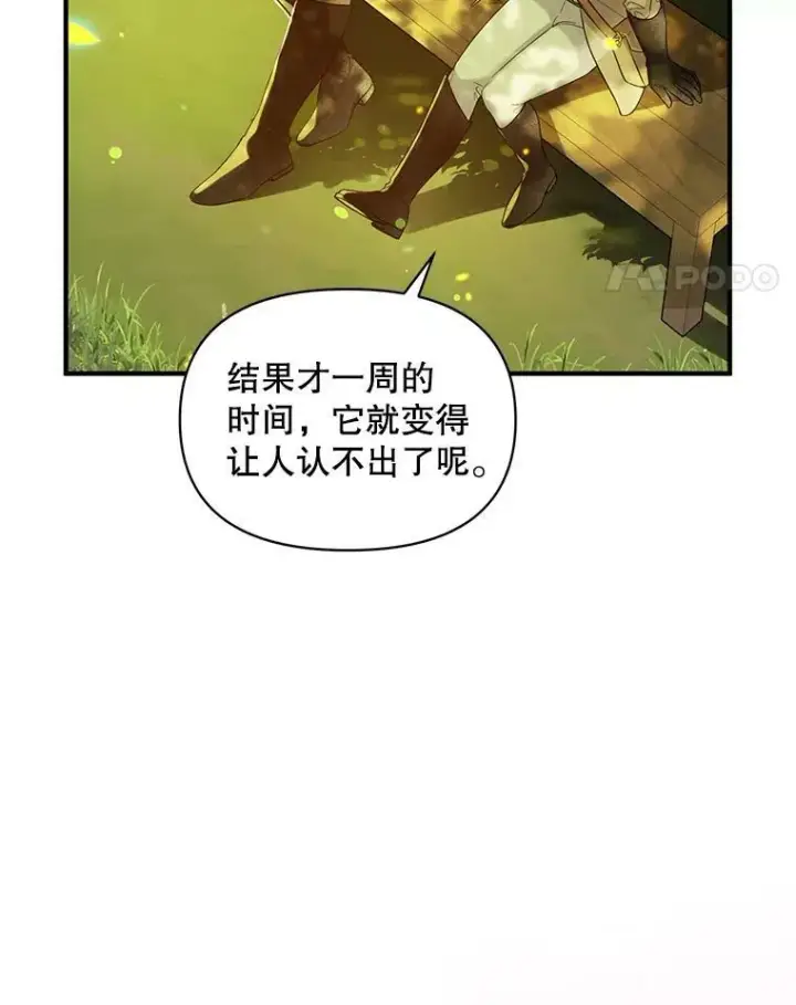 漫画《穿成后悔偏执狂的妹妹》13.属于“我”的爱第64张图