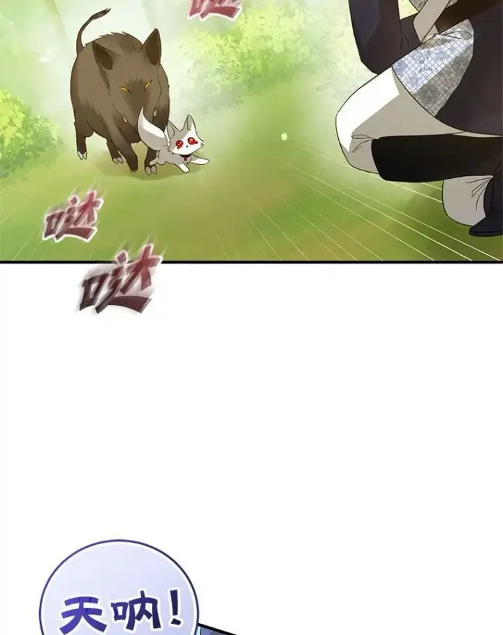 漫画《穿成后悔偏执狂的妹妹》15.野猪突袭第74张图