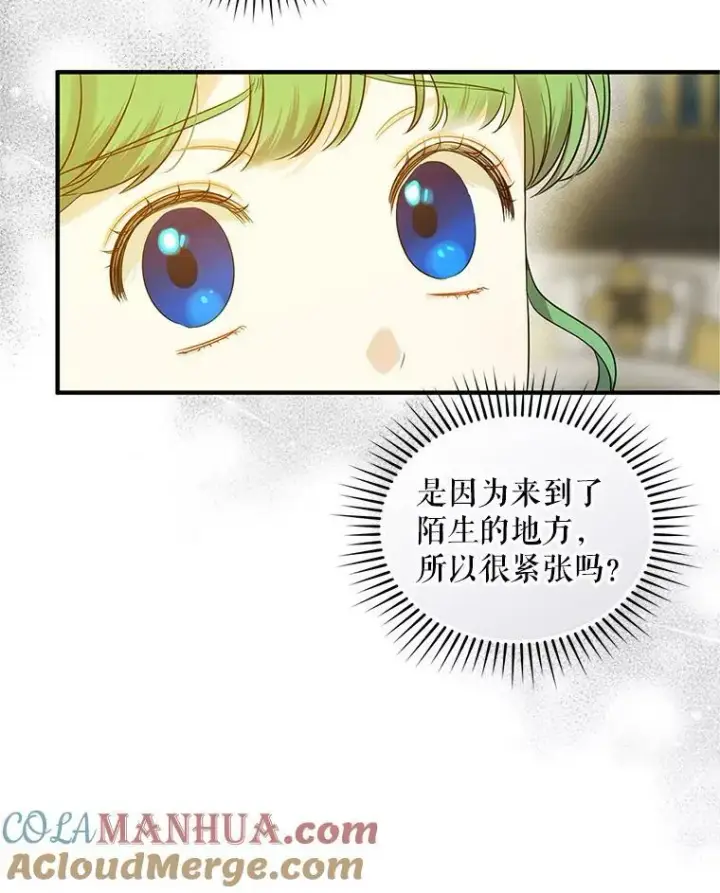 漫画《穿成后悔偏执狂的妹妹》20.皇宫年会第53张图