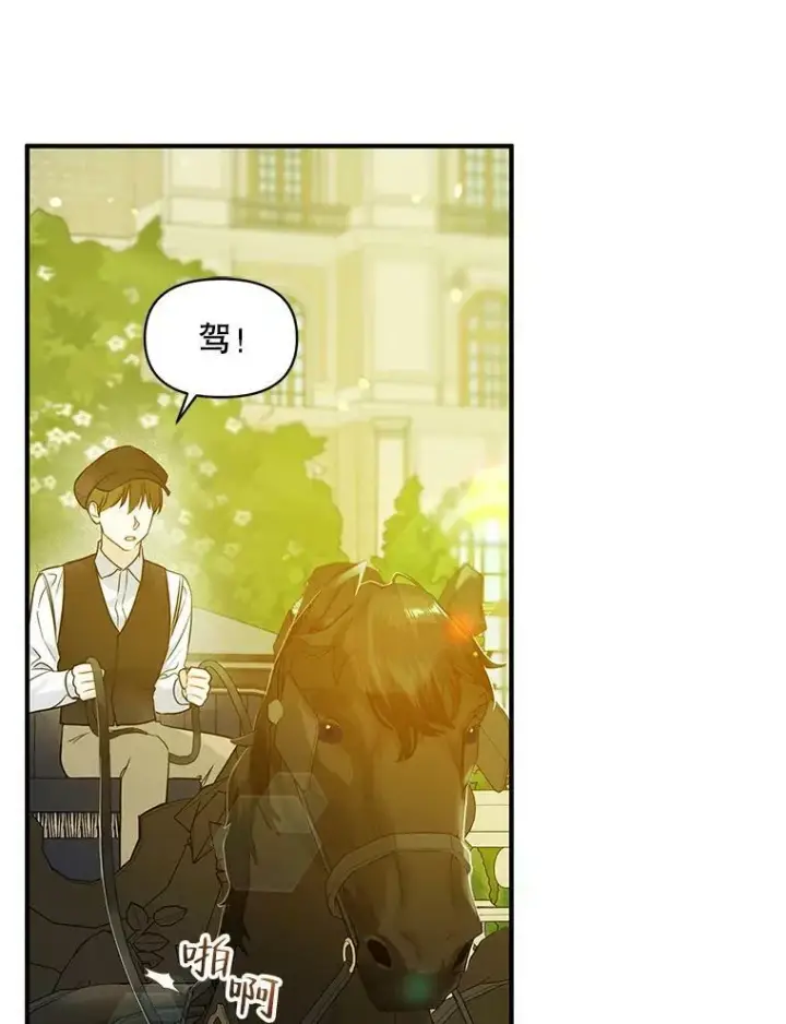 漫画《穿成后悔偏执狂的妹妹》21.各自会友第51张图