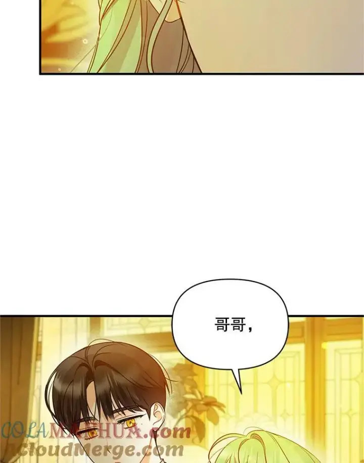 漫画《穿成后悔偏执狂的妹妹》22.诺尔登场第101张图
