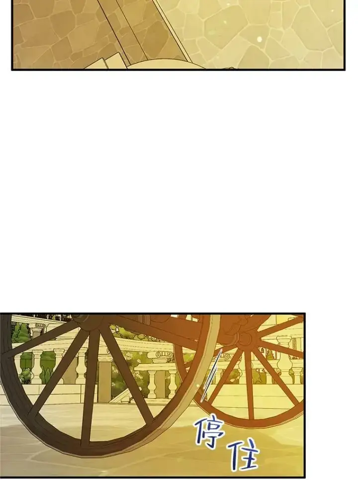 漫画《穿成后悔偏执狂的妹妹》22.诺尔登场第16张图