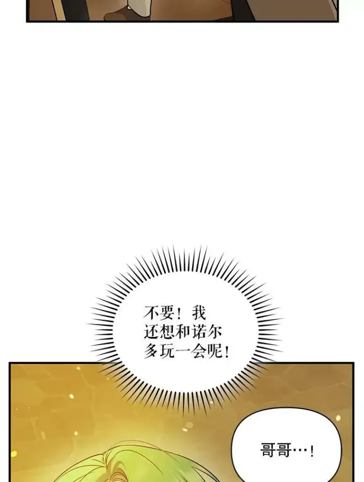 漫画《穿成后悔偏执狂的妹妹》22.诺尔登场第66张图