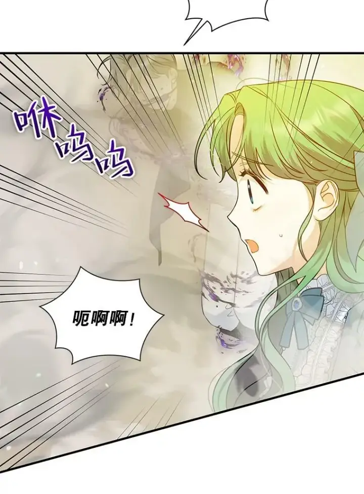 漫画《穿成后悔偏执狂的妹妹》25.市场游玩第66张图