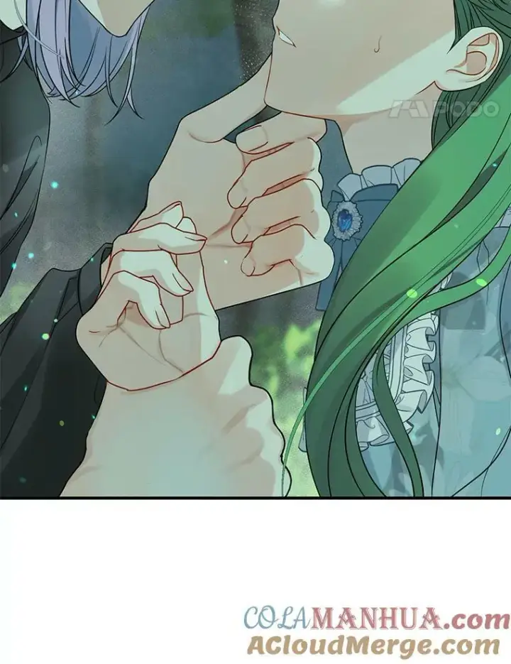 漫画《穿成后悔偏执狂的妹妹》27.反派埃利奥第21张图