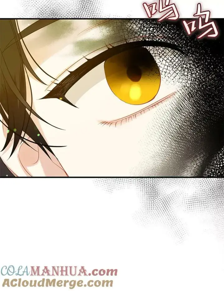 漫画《穿成后悔偏执狂的妹妹》27.反派埃利奥第69张图