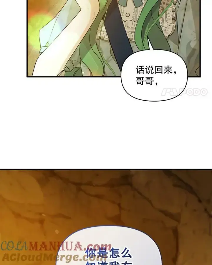 漫画《穿成后悔偏执狂的妹妹》28.重逢第113张图