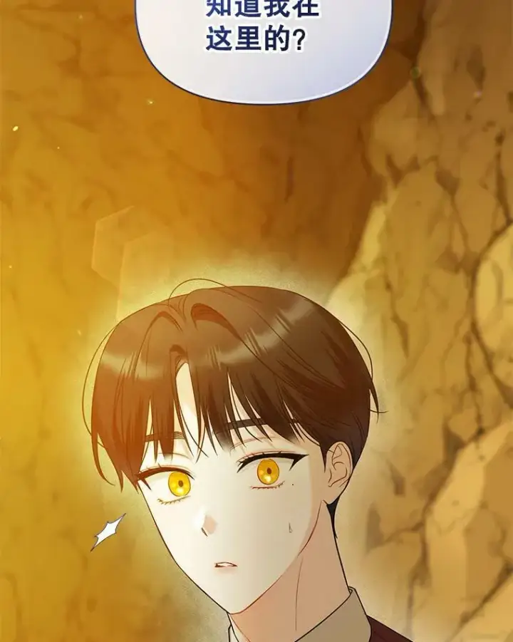 漫画《穿成后悔偏执狂的妹妹》28.重逢第114张图