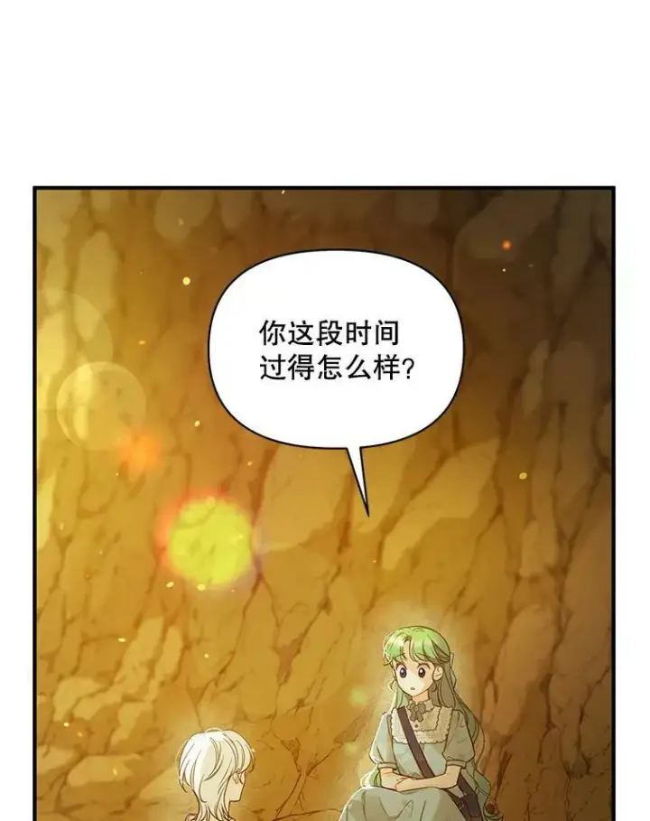 漫画《穿成后悔偏执狂的妹妹》28.重逢第14张图