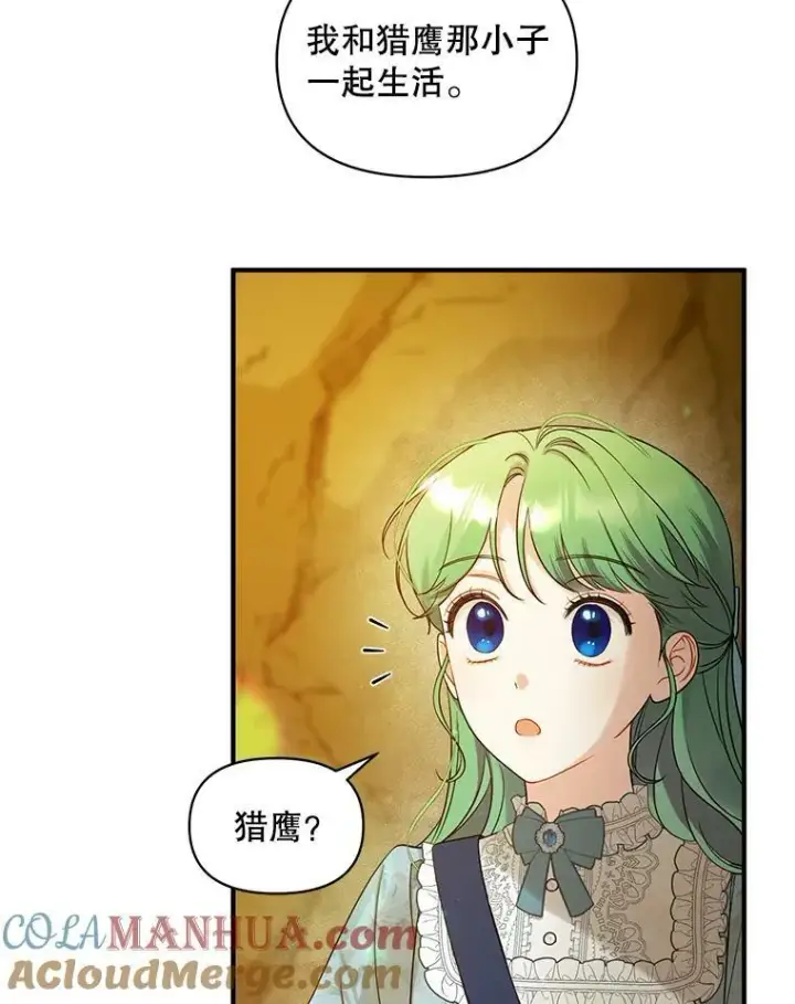 漫画《穿成后悔偏执狂的妹妹》28.重逢第17张图