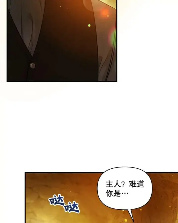 漫画《穿成后悔偏执狂的妹妹》28.重逢第40张图
