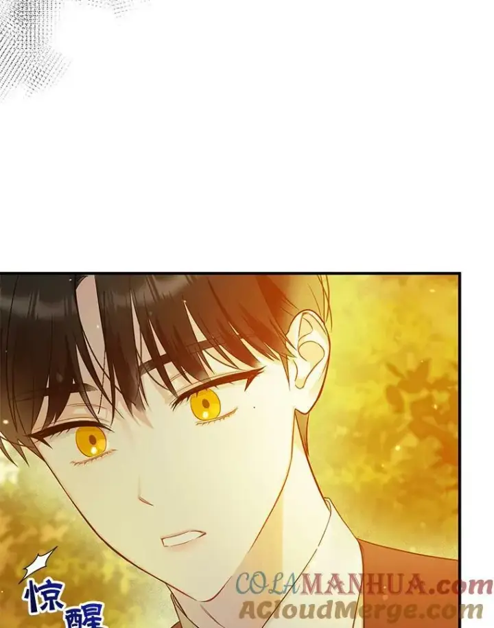 漫画《穿成后悔偏执狂的妹妹》28.重逢第65张图