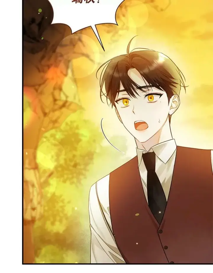 漫画《穿成后悔偏执狂的妹妹》28.重逢第71张图
