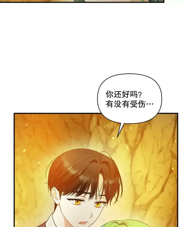 漫画《穿成后悔偏执狂的妹妹》28.重逢第80张图