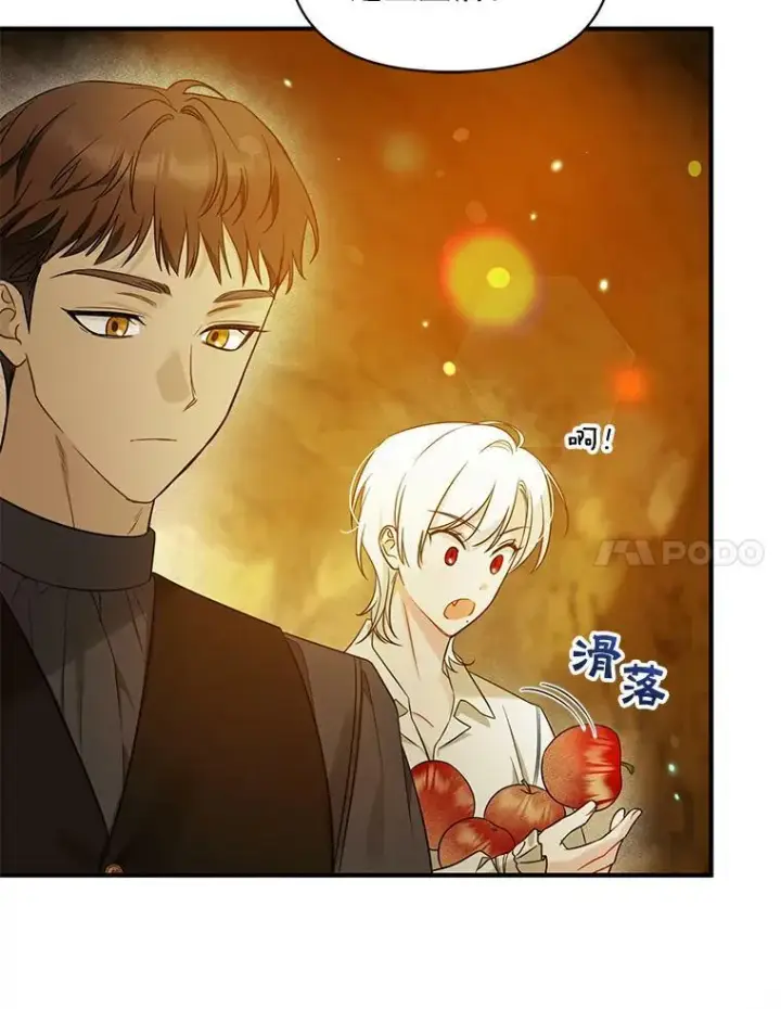 漫画《穿成后悔偏执狂的妹妹》28.重逢第96张图