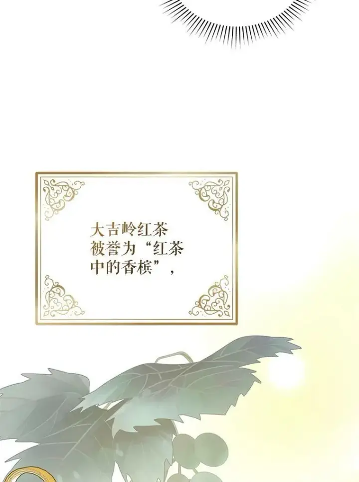 漫画《穿成后悔偏执狂的妹妹》32.诺尔的试探第68张图