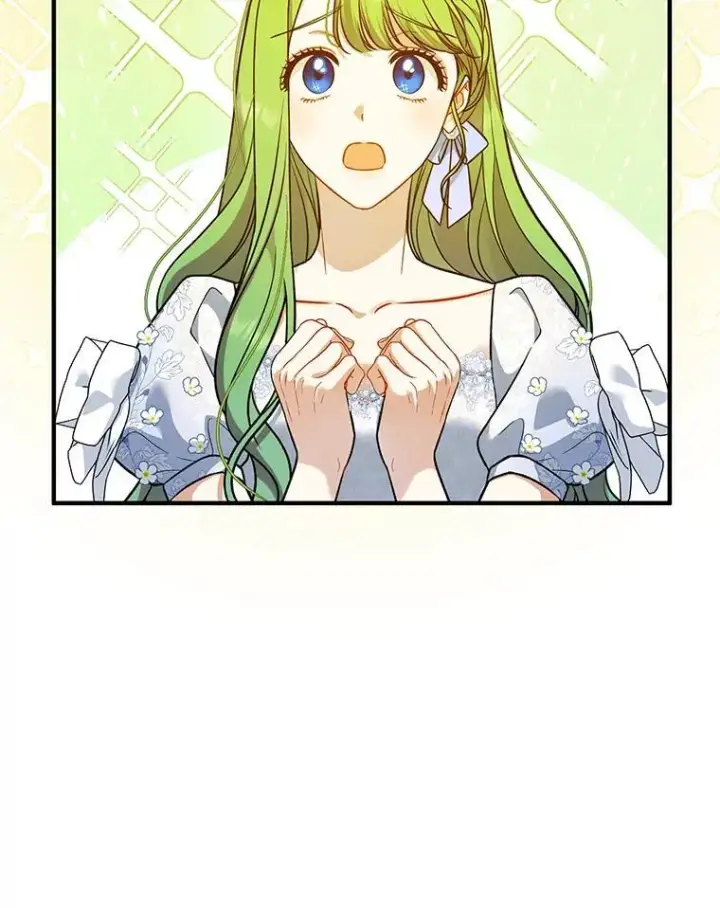 漫画《穿成后悔偏执狂的妹妹》45.偶遇诺尔1第32张图