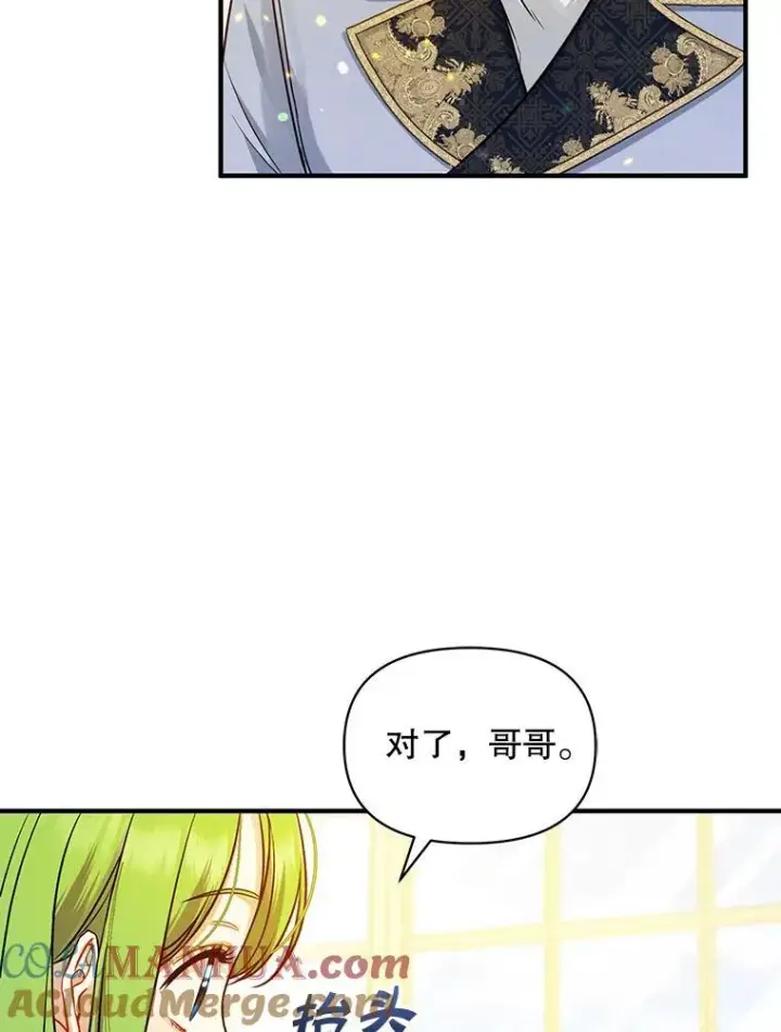 漫画《穿成后悔偏执狂的妹妹》45.偶遇诺尔1第49张图