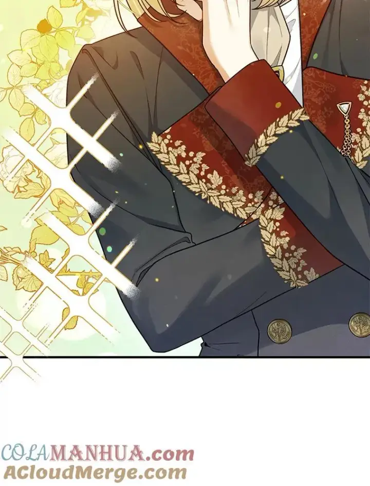 漫画《穿成后悔偏执狂的妹妹》45.偶遇诺尔1第97张图