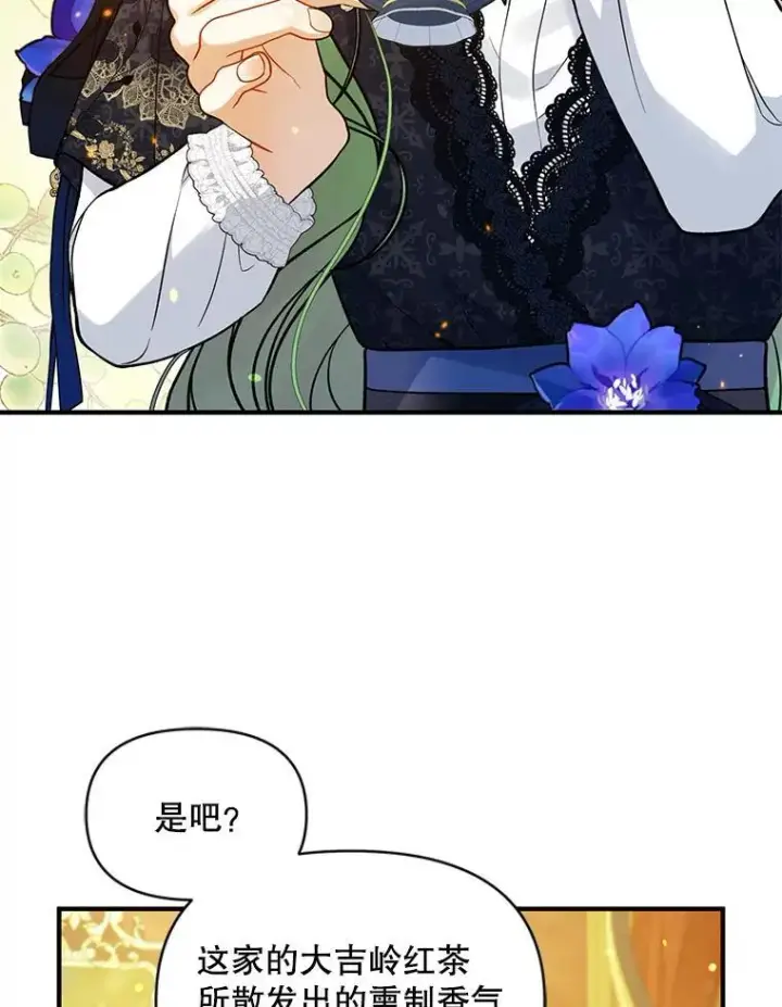 漫画《穿成后悔偏执狂的妹妹》46.偶遇诺尔2第19张图