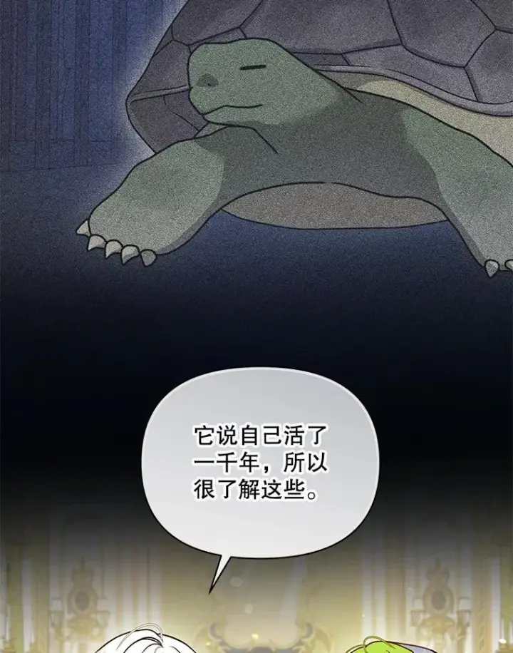 漫画《穿成后悔偏执狂的妹妹》65.诺尔表达心意第8张图
