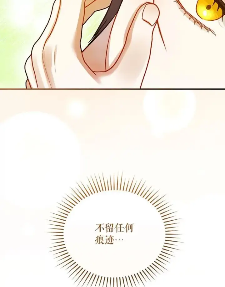 漫画《穿成后悔偏执狂的妹妹》70.愿望第115张图