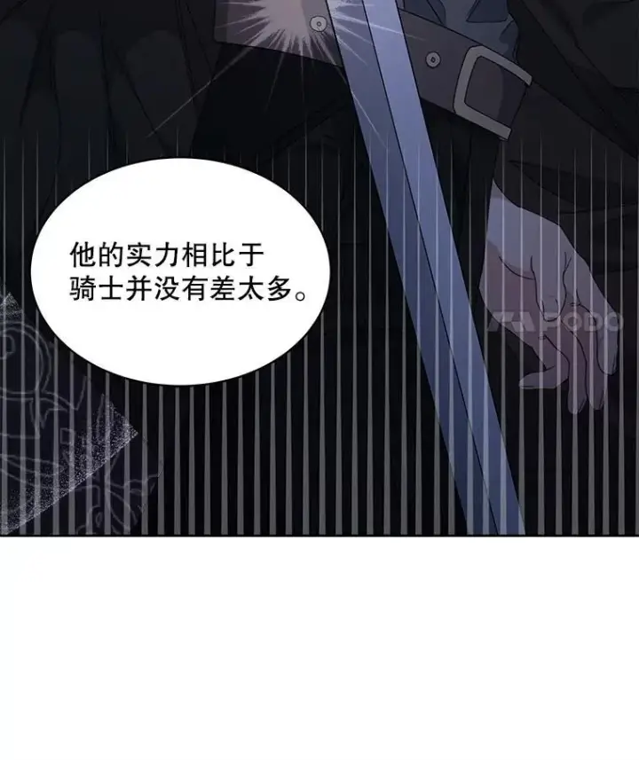 《穿书已经穿腻了》31.护卫骑士图72