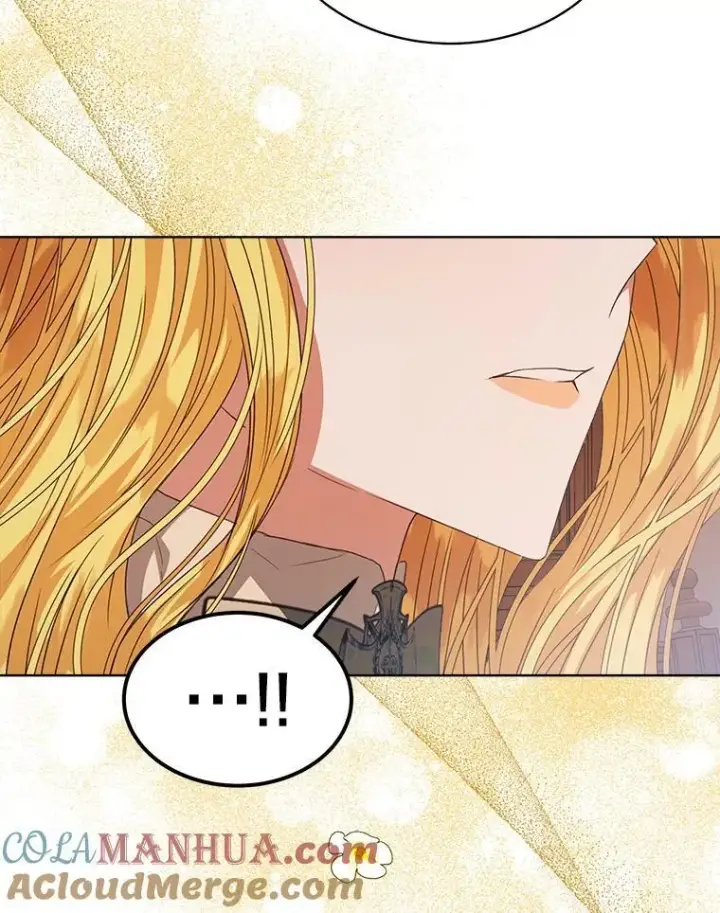《穿书已经穿腻了》31.护卫骑士图97