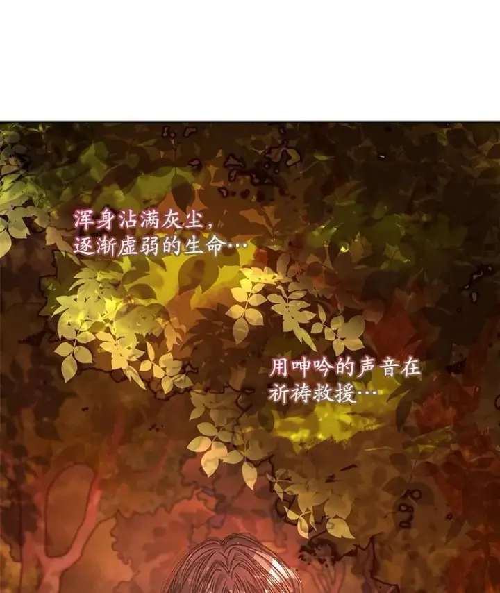 漫画《穿书已经穿腻了》14.等待卡西翁第104张图