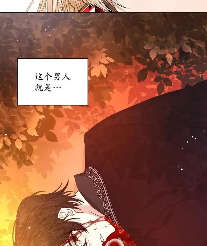 漫画《穿书已经穿腻了》14.等待卡西翁第107张图