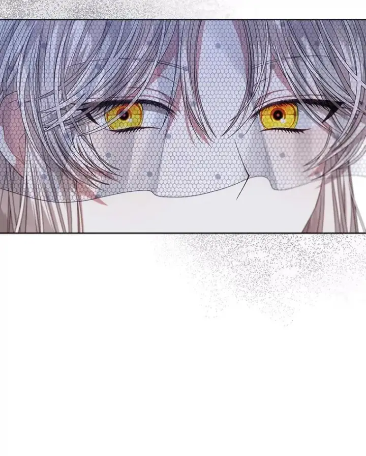 漫画《穿书已经穿腻了》56.卡西翁的葬礼第12张图