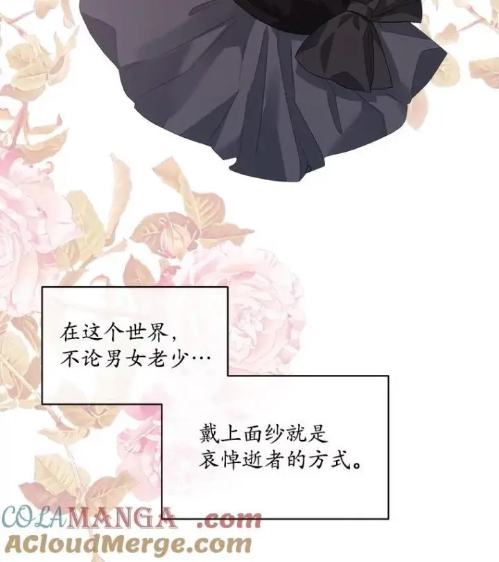 漫画《穿书已经穿腻了》56.卡西翁的葬礼第29张图