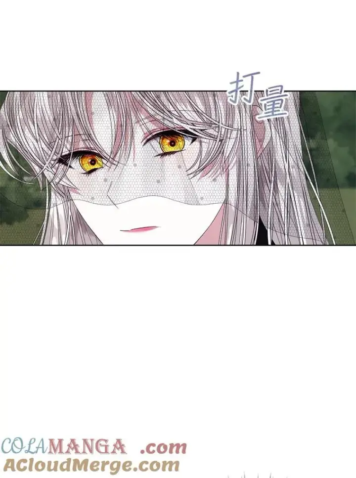 漫画《穿书已经穿腻了》56.卡西翁的葬礼第33张图