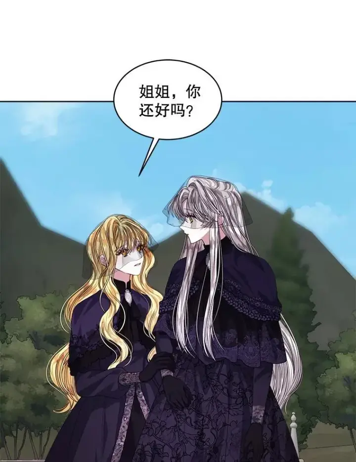 漫画《穿书已经穿腻了》56.卡西翁的葬礼第38张图