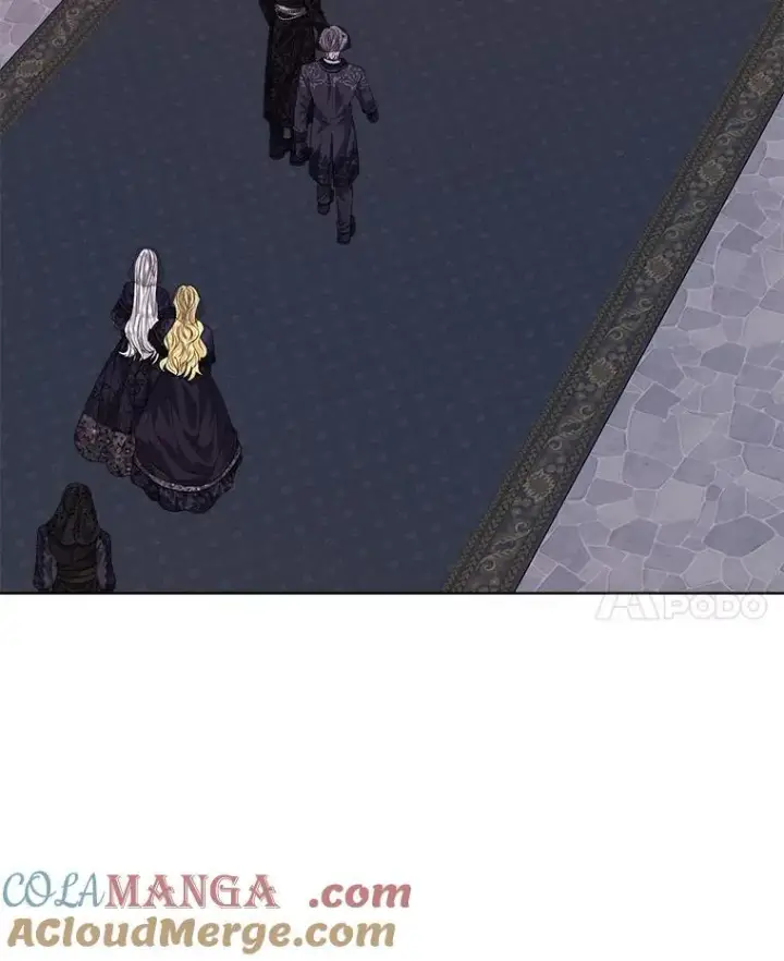 漫画《穿书已经穿腻了》56.卡西翁的葬礼第61张图