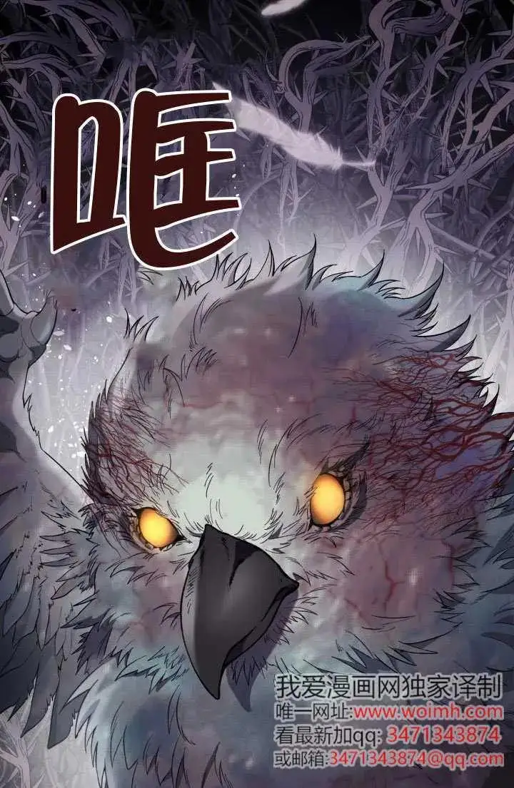 漫画《穿越者的幸运礼》第135话第79张图