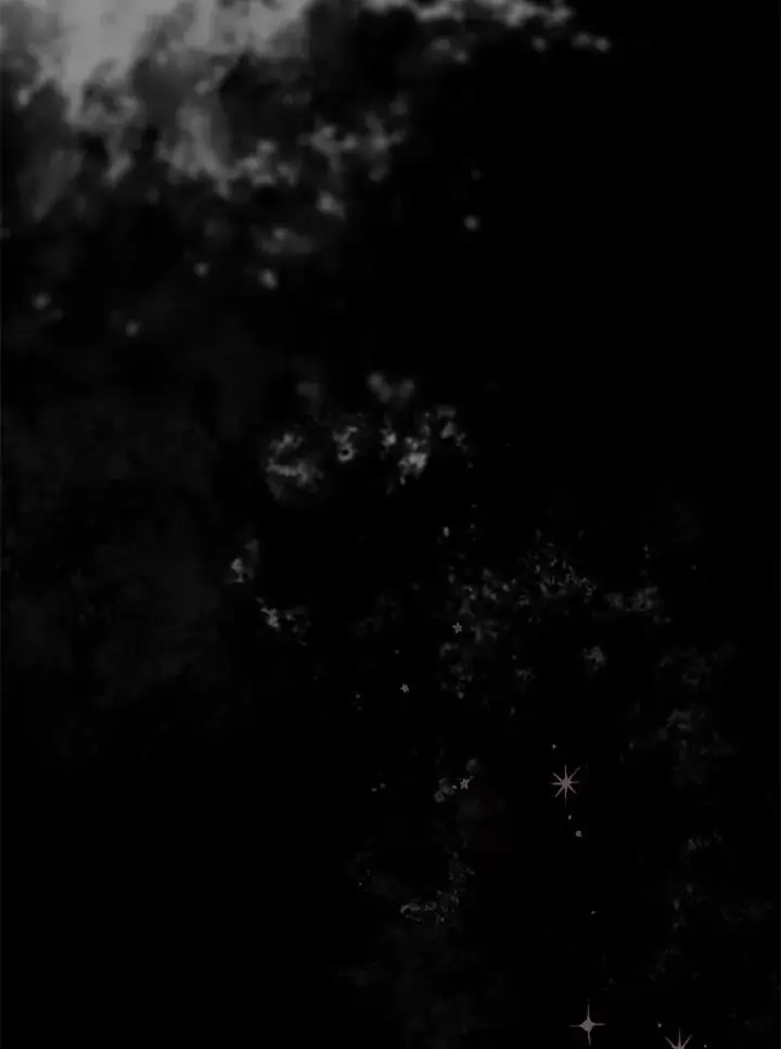 《穿越者的幸运礼》1.S级穿越者图30
