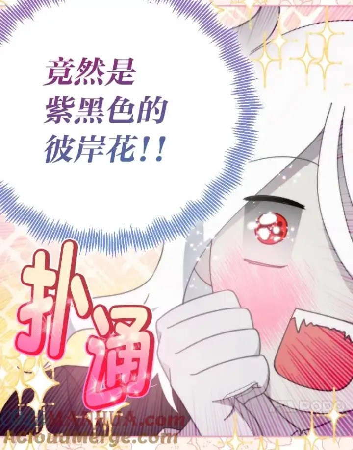 漫画《穿越者的幸运礼》27.紫黑色彼岸花第31张图