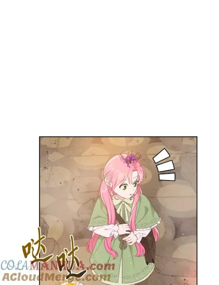 漫画《穿越者的幸运礼》27.紫黑色彼岸花第73张图