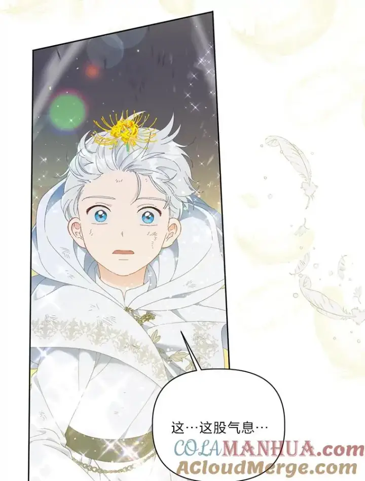 漫画《穿越者的幸运礼》29.第三个计划第52张图