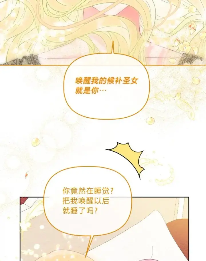 漫画《穿越者的幸运礼》30.传说的圣女第119张图