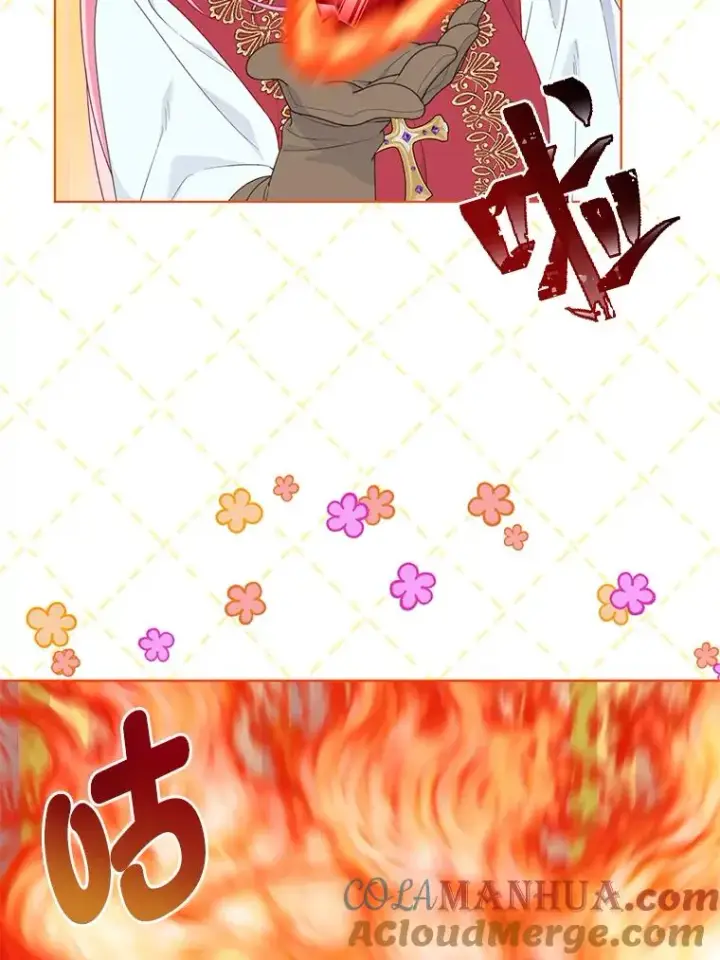 漫画《穿越者的幸运礼》49.哥哥带回的消息第28张图