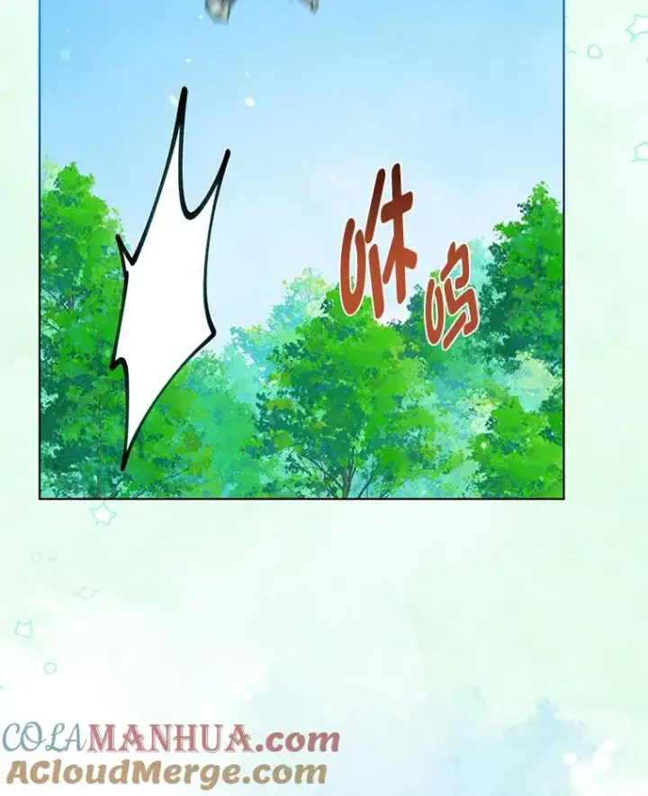 漫画《穿越者的幸运礼》49.哥哥带回的消息第46张图