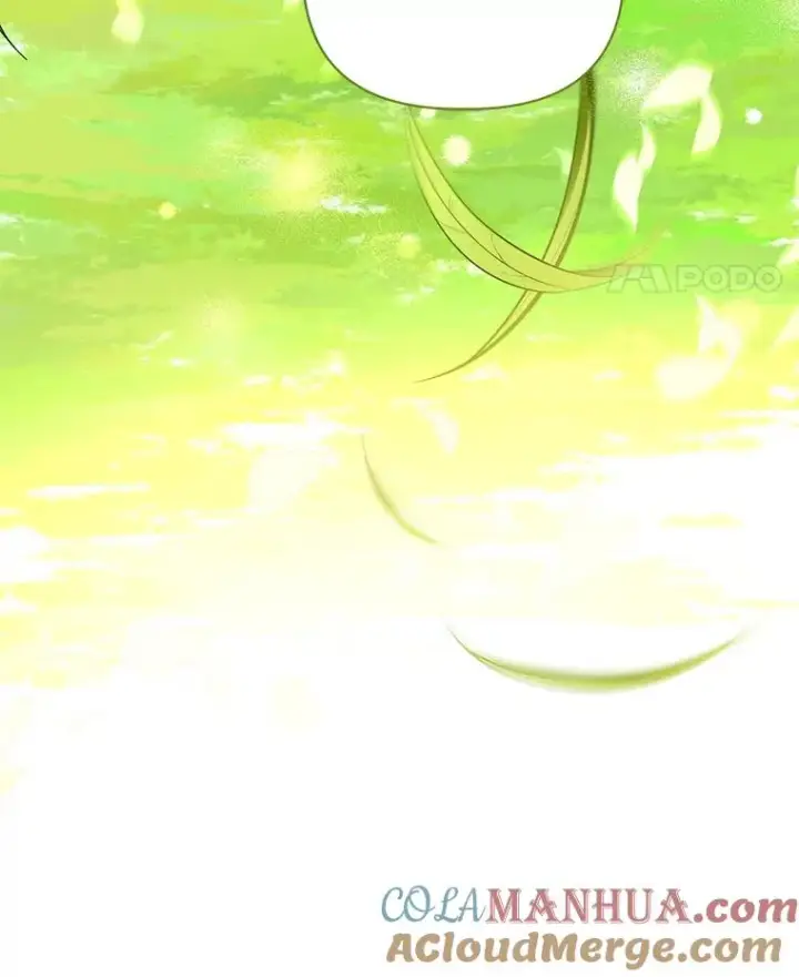 漫画《穿越者的幸运礼》49.哥哥带回的消息第91张图