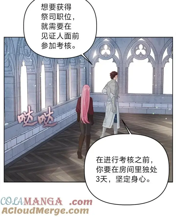 漫画《穿越者的幸运礼》81.圣女的身份第13张图