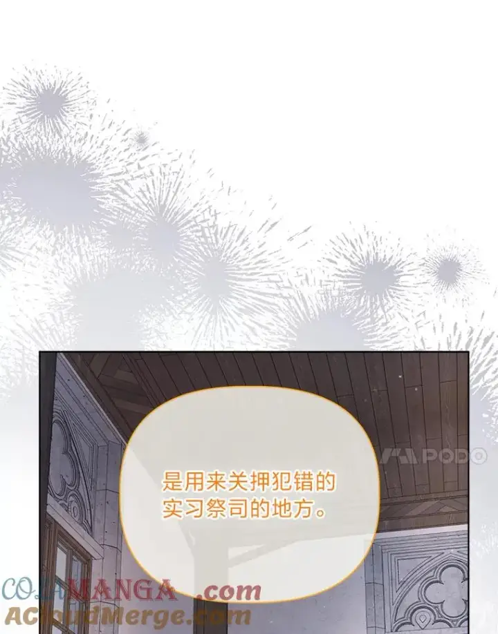 漫画《穿越者的幸运礼》81.圣女的身份第34张图